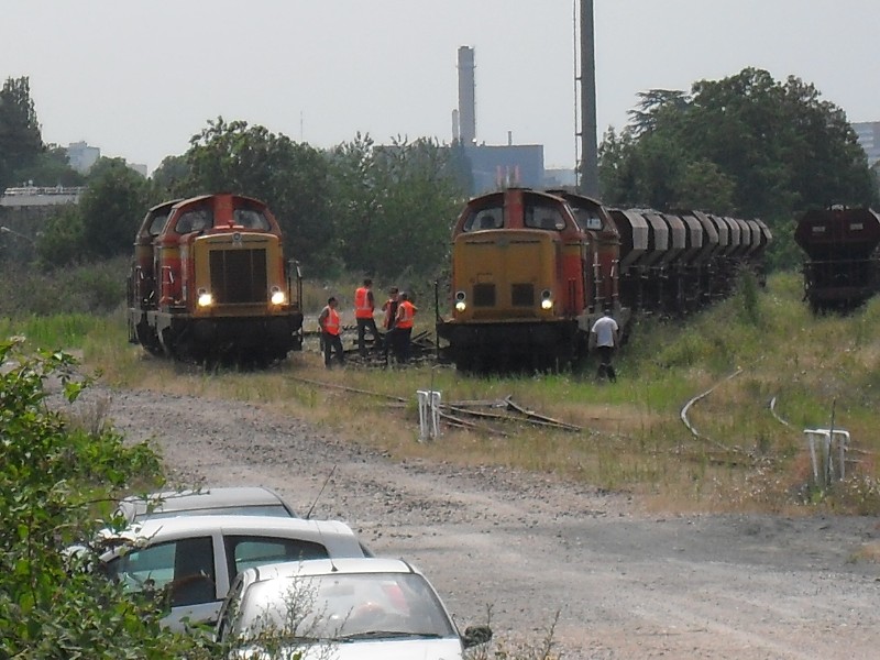 SDC11748.JPG