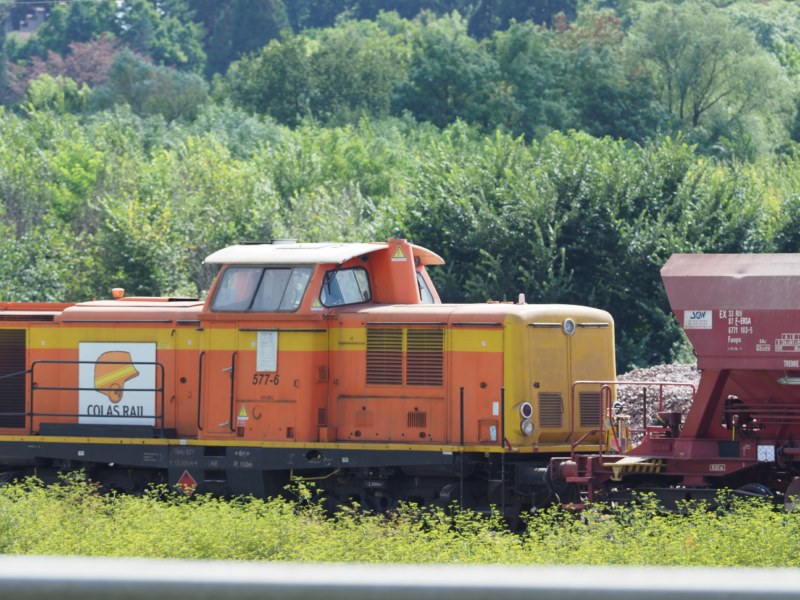 P8173577.JPG