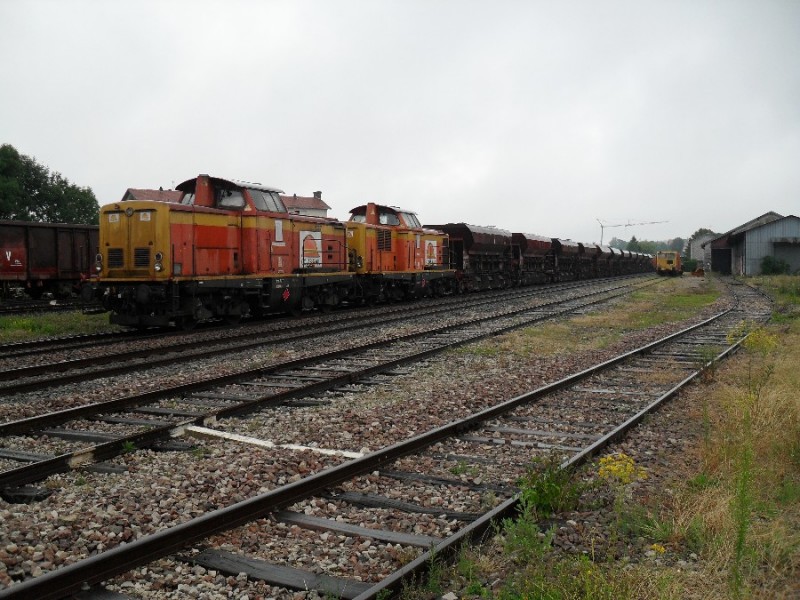 SDC11784.JPG