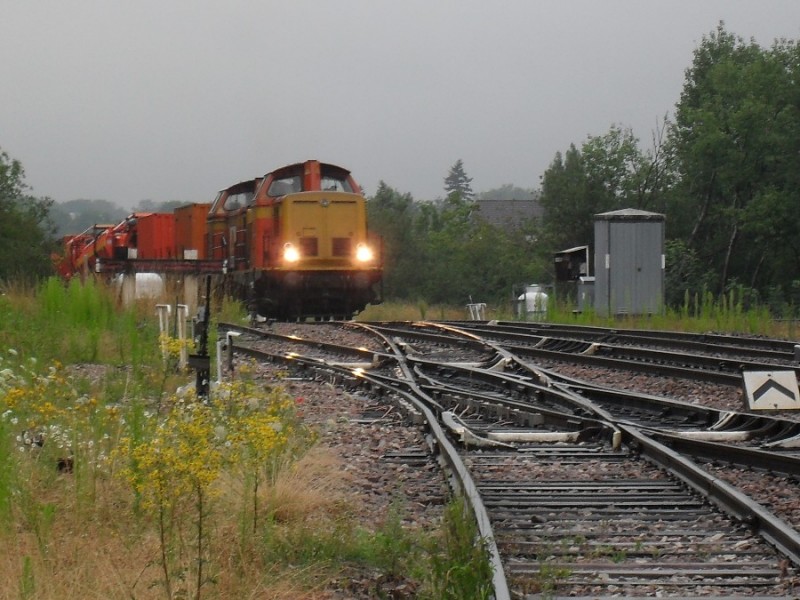 SDC11787.JPG