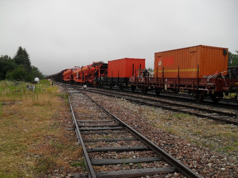 SDC11790.JPG