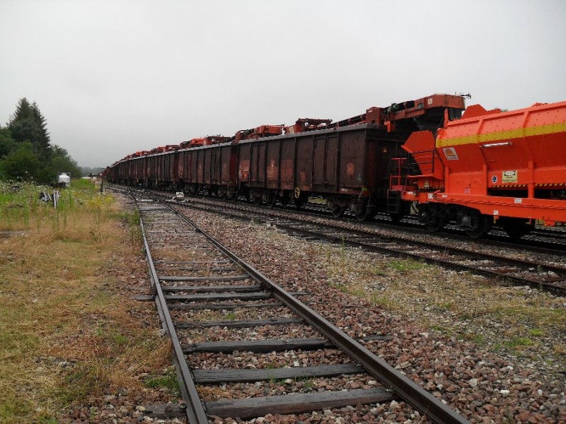 SDC11792.JPG