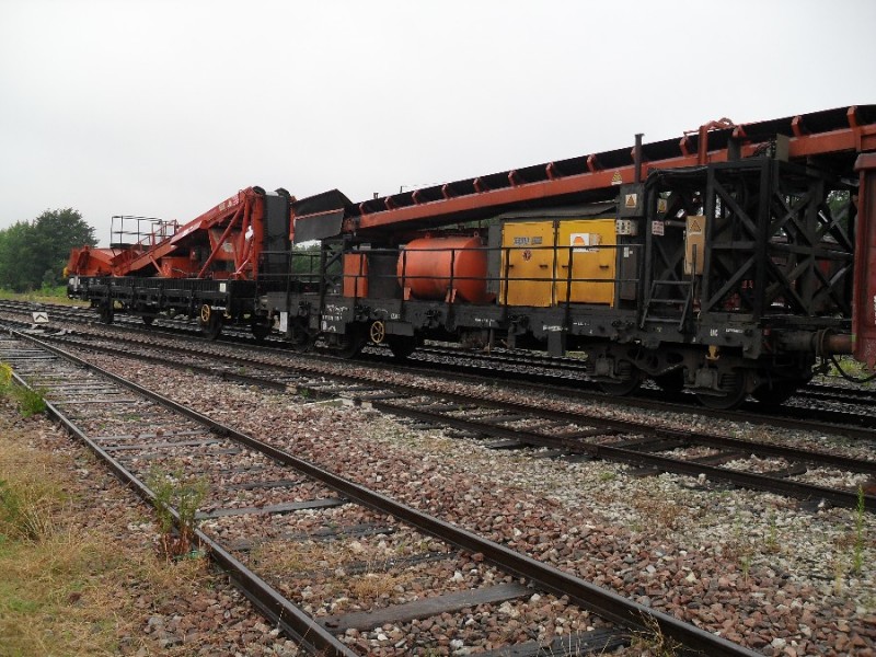 SDC11795.JPG