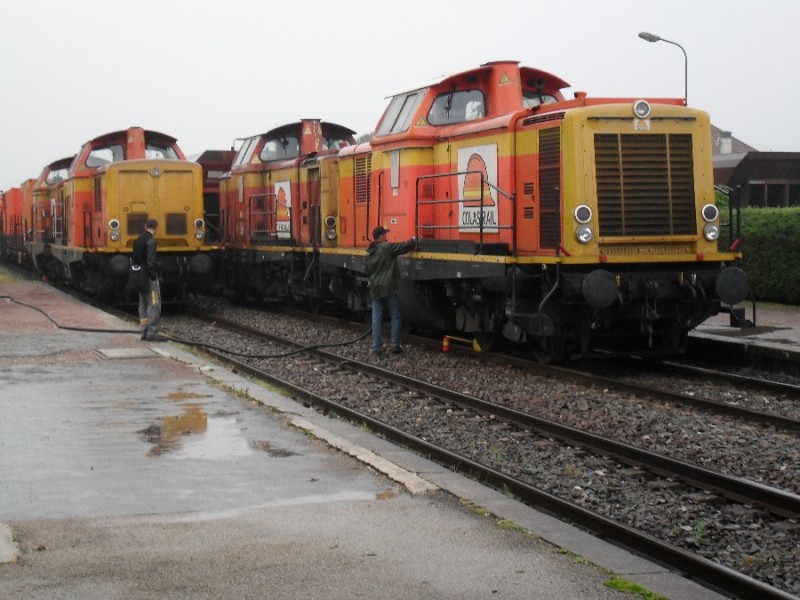 SDC11802.JPG