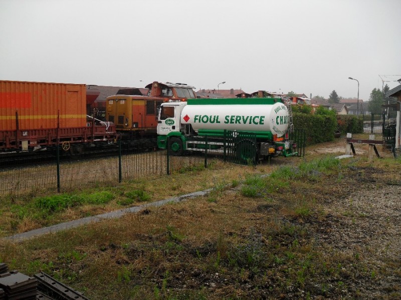 SDC11801.JPG