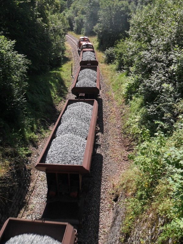 SDC11824.JPG