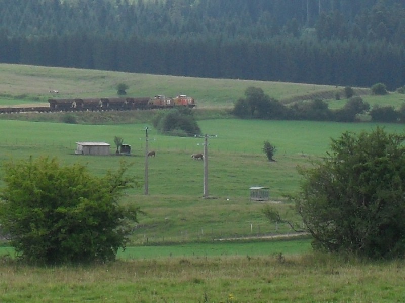 SDC11819.JPG