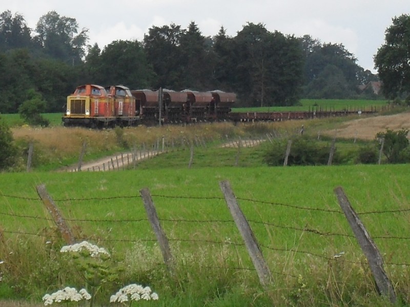 SDC11812.JPG
