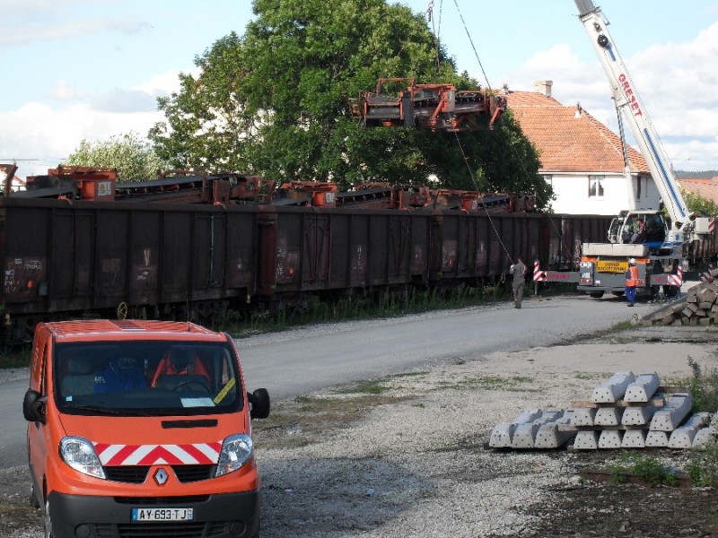 SDC11845.JPG