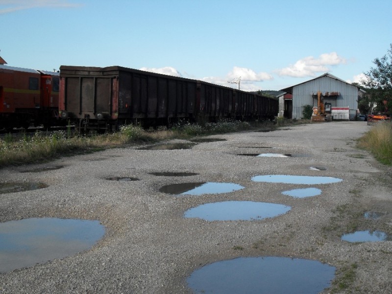 SDC11861.JPG