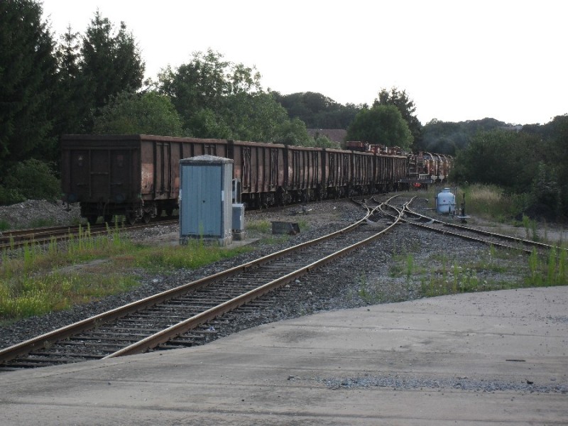 SDC11849.JPG