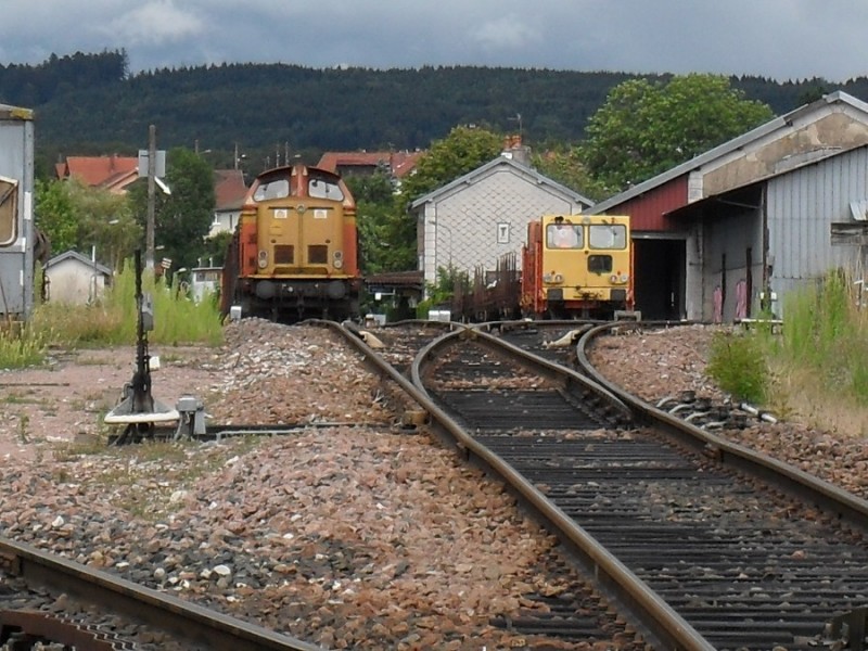 SDC11875.JPG