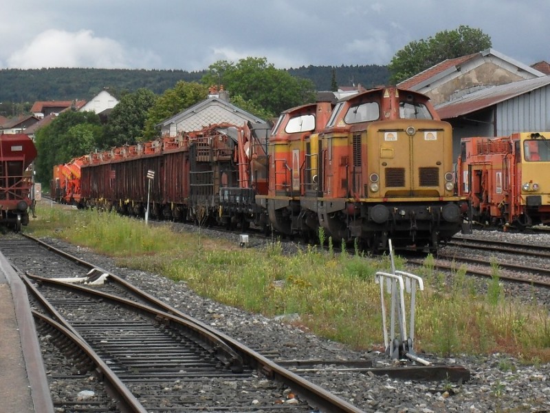 SDC11873.JPG