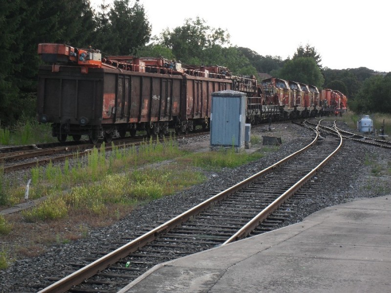 SDC11856.JPG