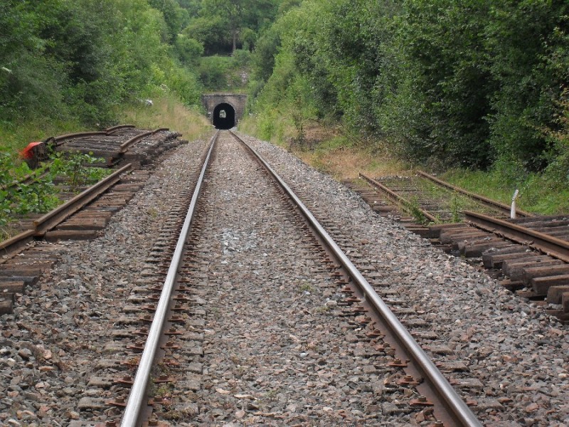 SDC11906.JPG