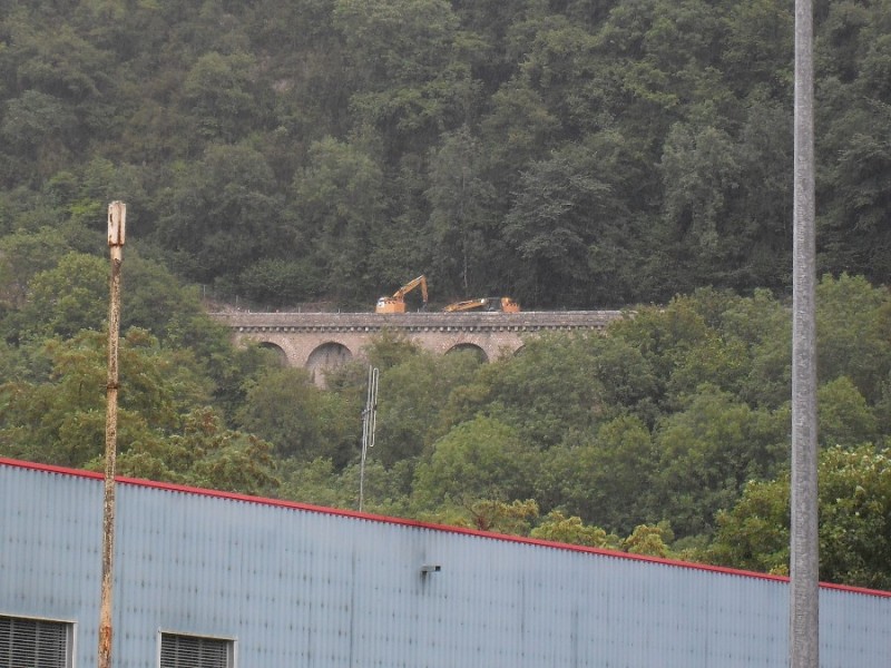 SDC11945.JPG