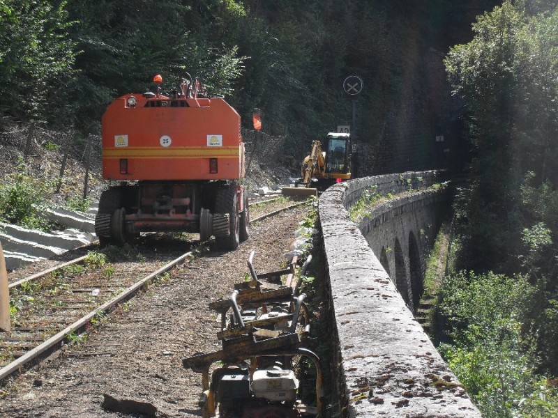 SDC11918.JPG