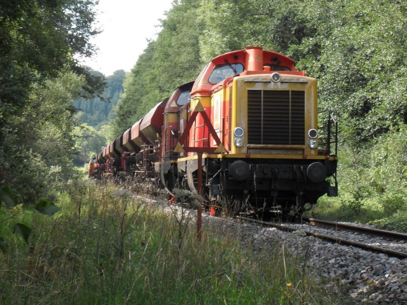 SDC12031.JPG