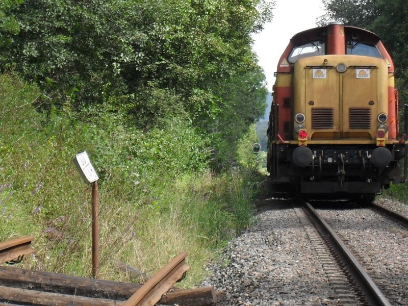 SDC12023.JPG
