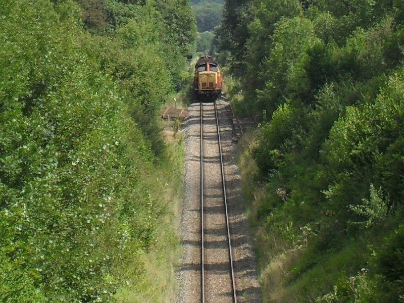 SDC12019.JPG