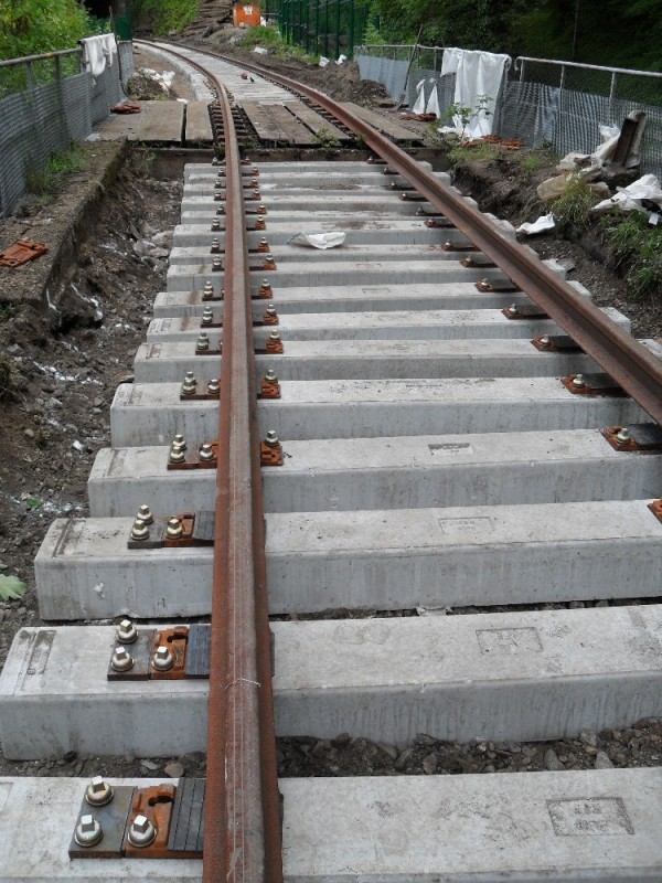 SDC12139.JPG