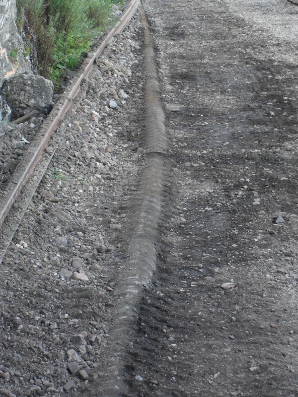SDC12159.JPG