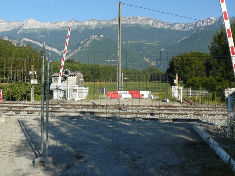 P1100261.JPG