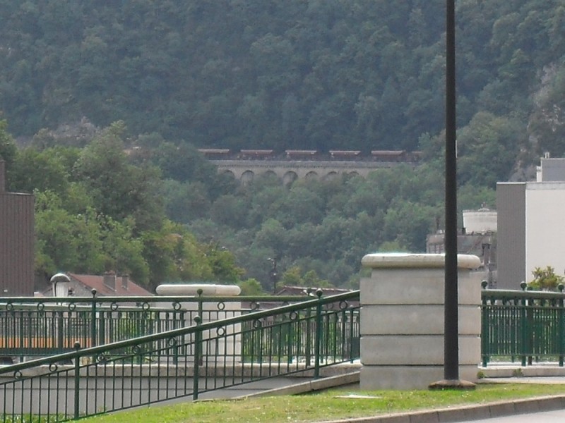 SDC12182.JPG