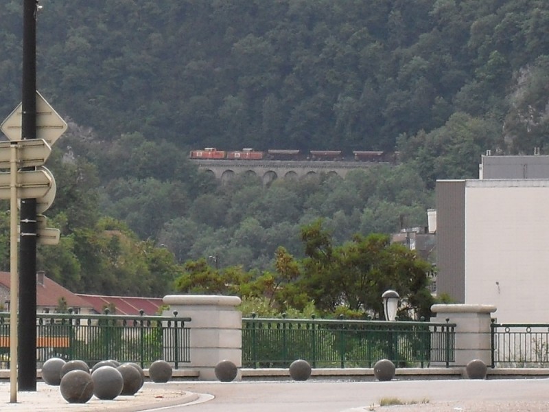 SDC12185.JPG