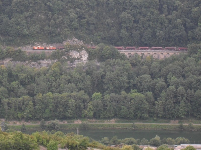 SDC12209.JPG