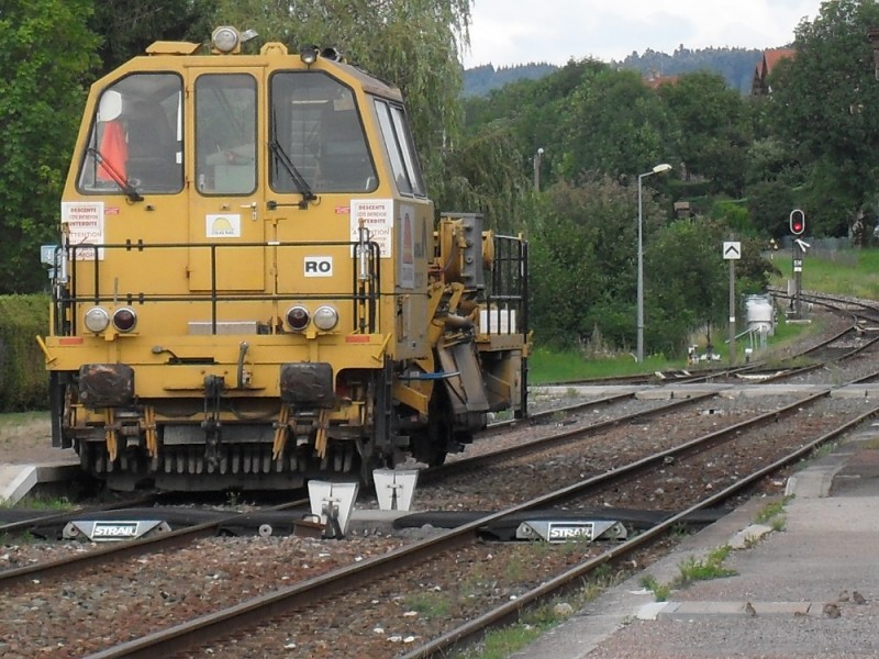 SDC12237.JPG