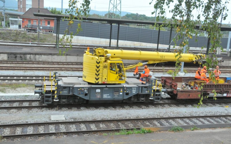 MCS_2145.jpg