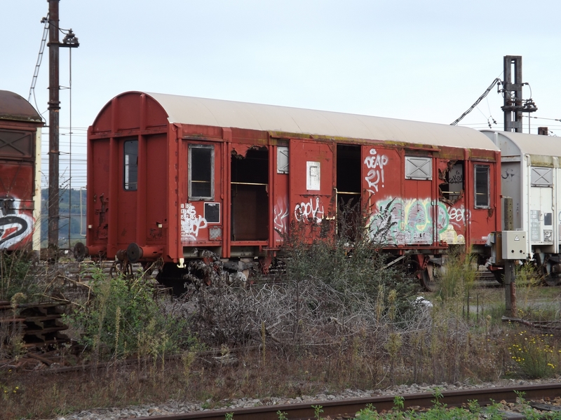 DSCF8539 (Copier).JPG