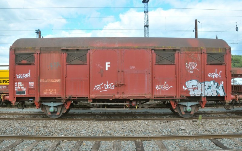 MCS_3547.jpg