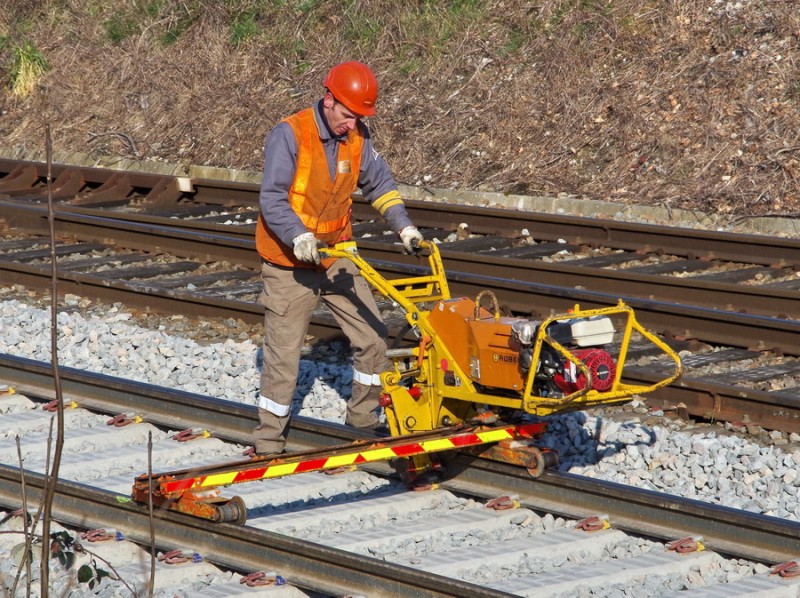 2018-02-22 bif de Jussy (4).jpg (297.76 Kio) Vu 1809 fois 2018-02-22 bif de Jussy (4).jpg