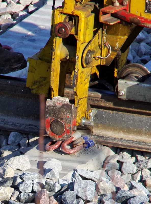 2018-02-22 bif de Jussy (3).jpg (266.99 Kio) Vu 1879 fois 2018-02-22 bif de Jussy (3).jpg