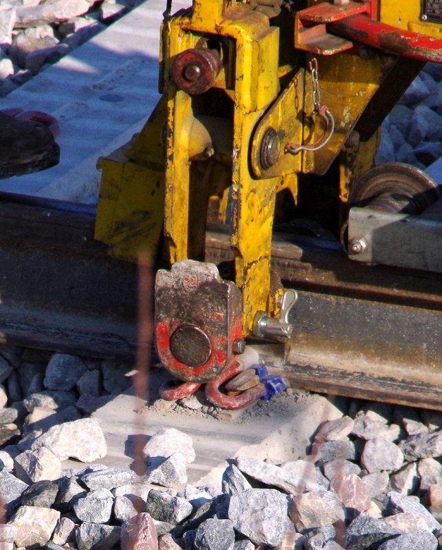 2018-02-22 bif de Jussy (2).jpg (301.59 Kio) Vu 1809 fois 2018-02-22 bif de Jussy (2).jpg