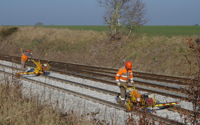 2018-02-22 bif de Jussy (1).jpg (207.54 Kio) Vu 1879 fois 2018-02-22 bif de Jussy (1).jpg