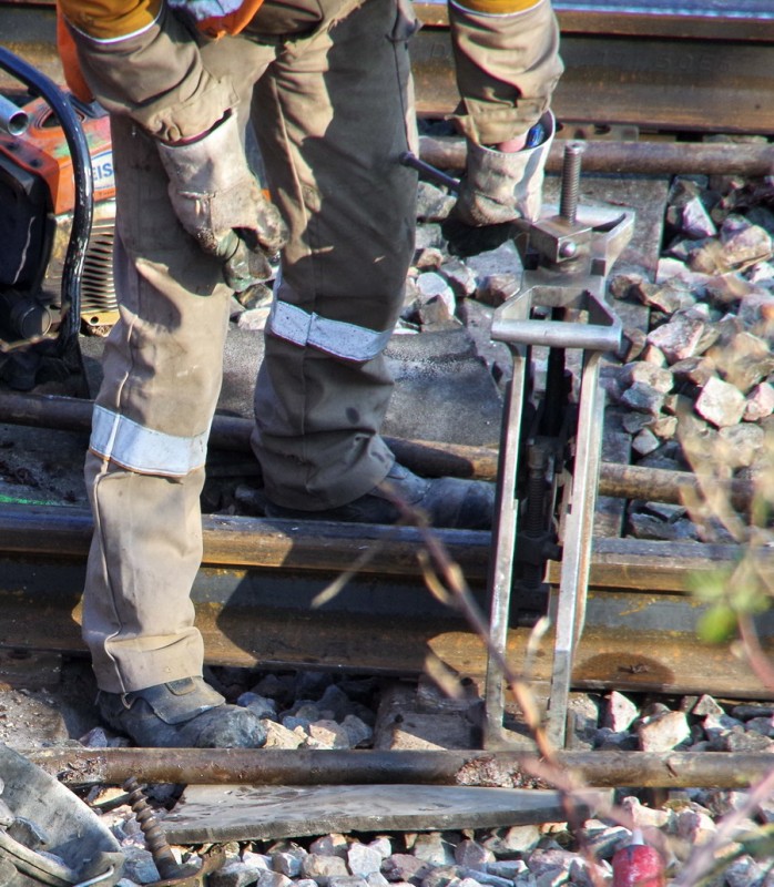 2018-02-22 bif de Jussy (4).jpg (306.79 Kio) Vu 2291 fois 2018-02-22 bif de Jussy (4).jpg