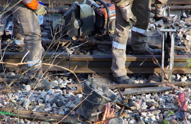 2018-02-22 bif de Jussy (3).jpg (226.33 Kio) Vu 2291 fois 2018-02-22 bif de Jussy (3).jpg