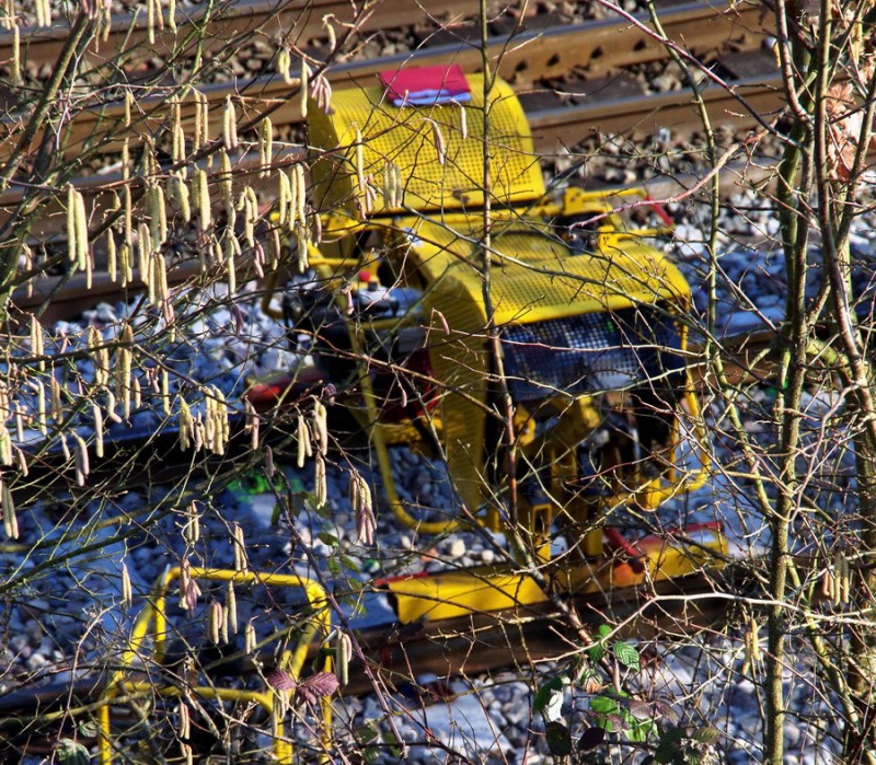 2018-02-22 bif de Jussy (2).jpg (394.08 Kio) Vu 2291 fois 2018-02-22 bif de Jussy (2).jpg