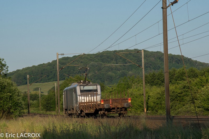Train 2015 06 05 (14).jpg