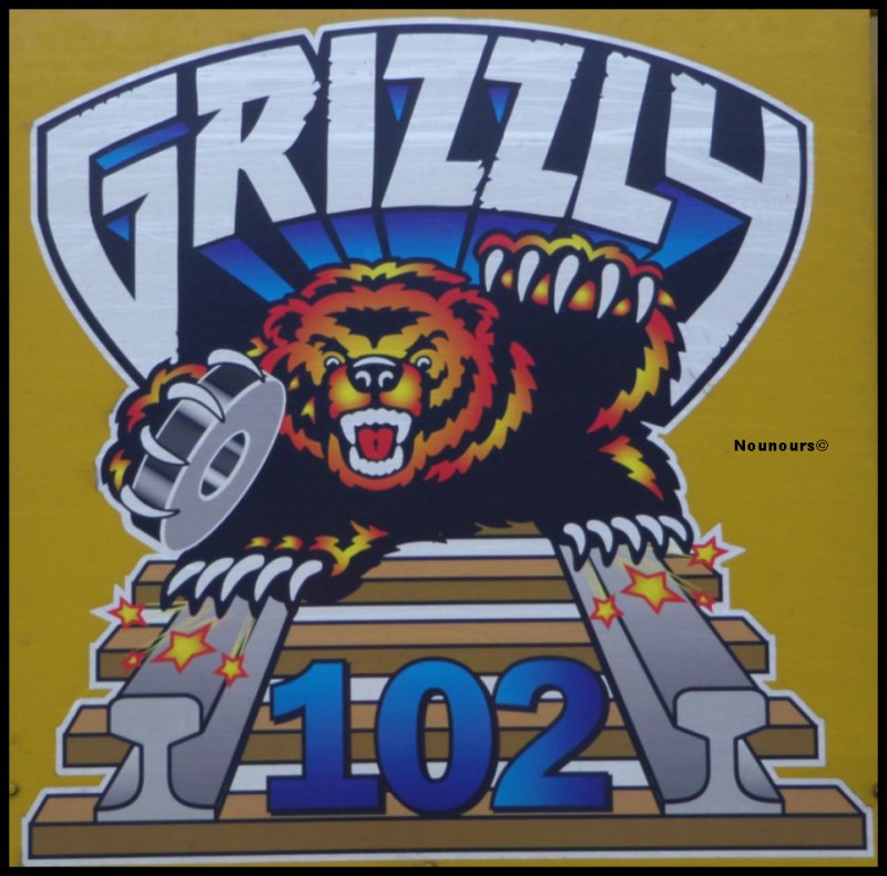 Grizzly_102_99879127503_0_Scheuchzer_détail.JPG