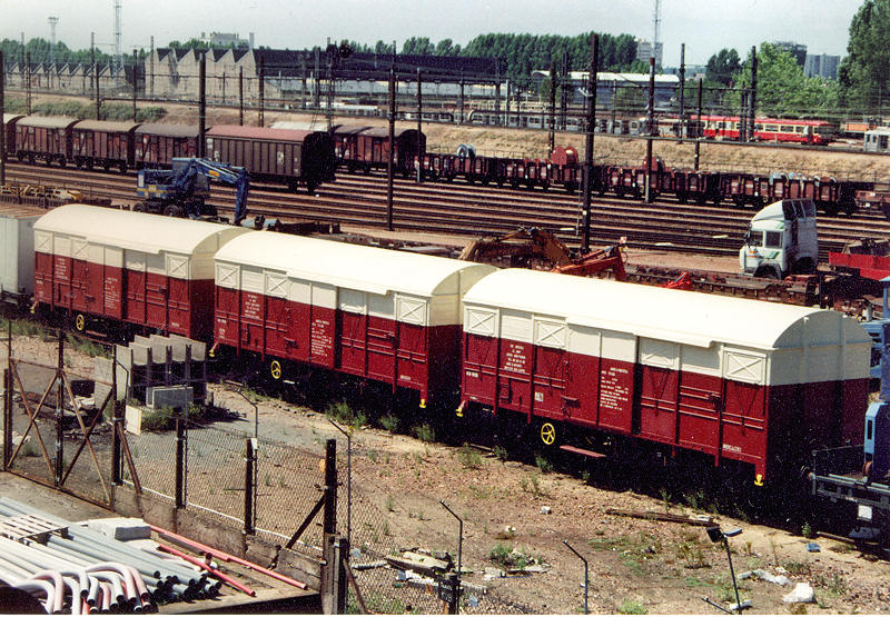 G-spc01081994.jpg