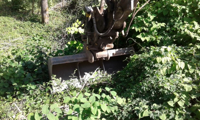 DER ZX170PRR (2019-07-23 Saint Segrée 80) Delcourt D12  (11).jpg