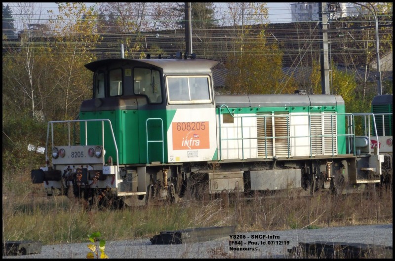 Y8205.jpg