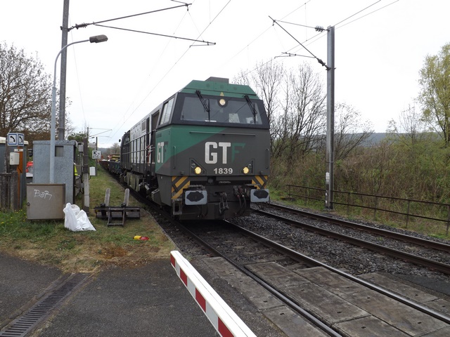 DSCF6584 (Copier).JPG