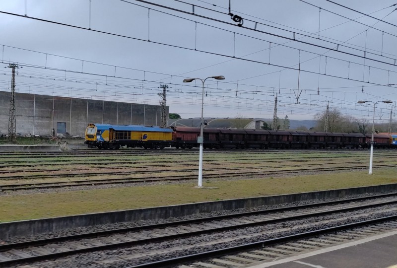 Grizzly 102 - Scheuchzer.jpeg