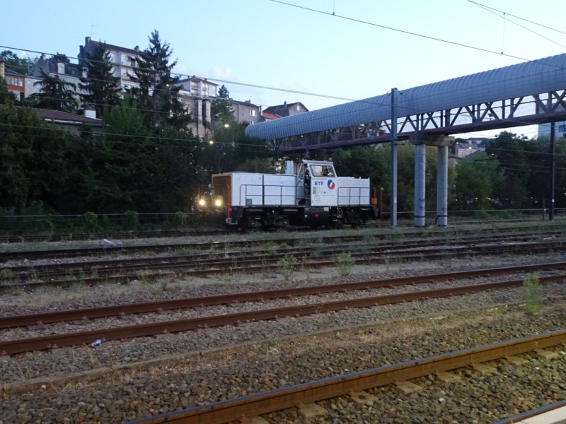 DSC05418R.jpg