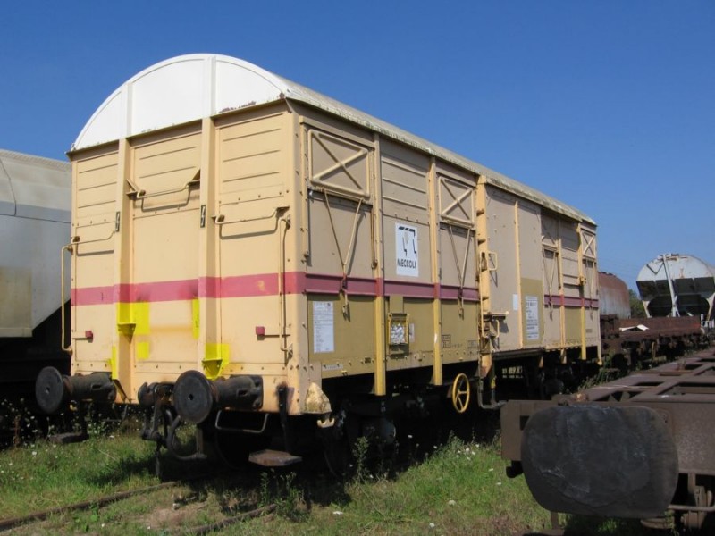 trains%20029.jpg